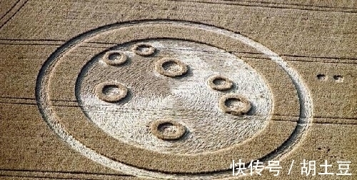 麦田怪圈到底啥来头 科学家 24小时不间断监测 拍下神秘一幕 全网搜