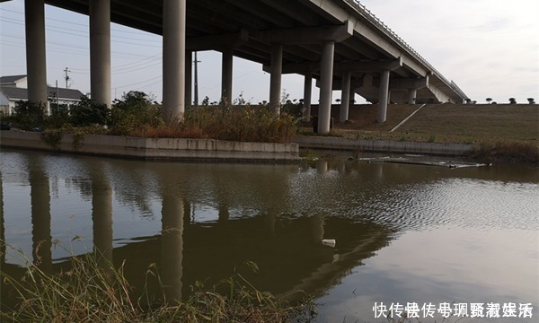 钓位|野钓的几类绝佳钓位，一年四季都可以钓到鱼