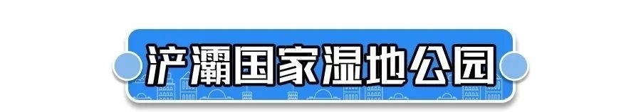 全部免费！西安7个踏青好去处看这里！