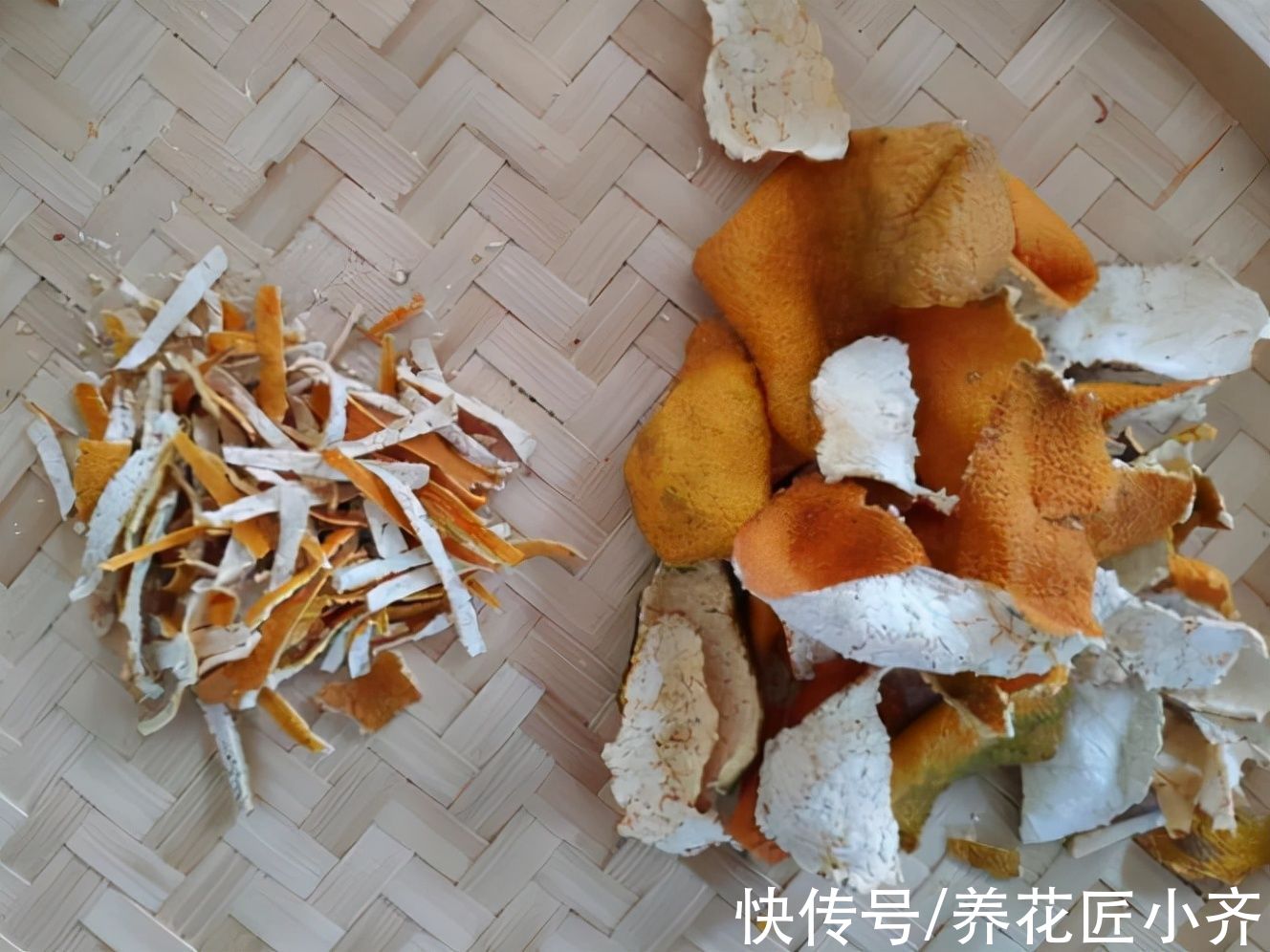 又到3种“垃圾”最多的季节，如果家中有别扔，用来养花特别棒