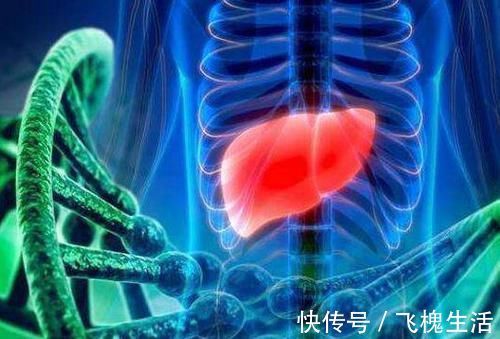 面条|慢性胃炎患者注意 这5种食物是养胃好手, 别错过了!