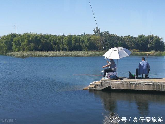 洄水湾|夏季野钓总没口找钓位注意这4类地方,天热大鱼易扎堆