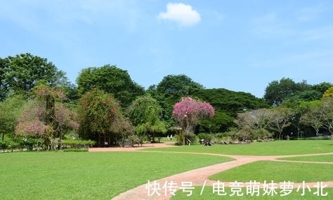 陈毅|陈毅很罕见的一首诗,浅显易懂,却令人深受启发