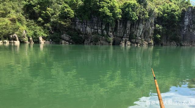 养殖|新手钓获“巨型麦穗鱼”,价值百元一斤,确定不是十年鱼后笑纳了