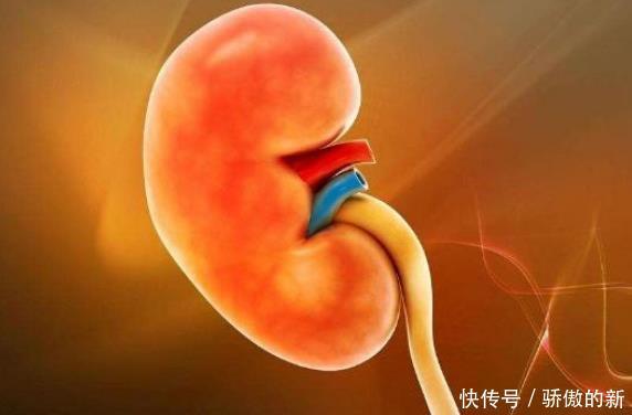 晨起时若没4个现象,说明肾脏还很健壮,若你有,别不当回事