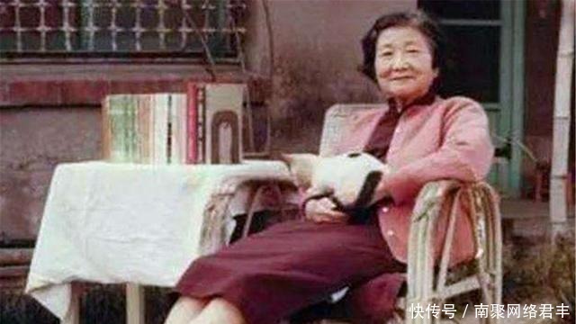 她的下半生都在骂鲁迅,还同丈夫离婚,只因鲁迅拒绝同她握手