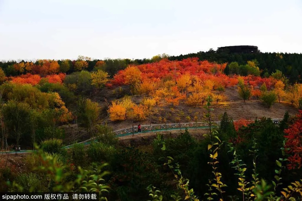 免费|湿地、森林、湖泊，北京房山这7个“世外桃源”居然全免费！关键还这么好玩！