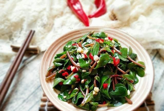 它被稱為“藥王”,好看又好吃,營養價值高,現在知道還不晚