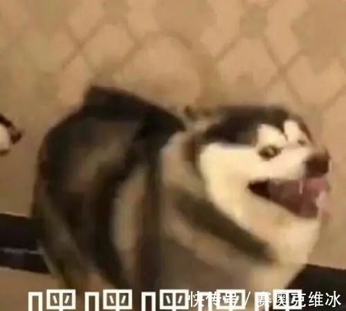 p这13条半裙，让T恤更完美！