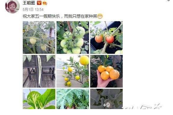 美食|王祖藍可真行，“做飯、種菜”樣樣都會，看他曬的美食，可真饞人