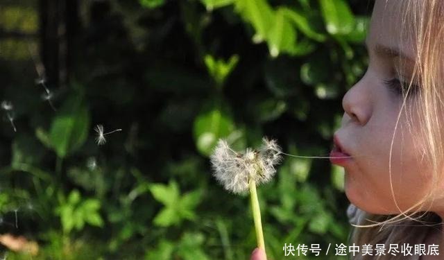 会偷3种懒，享尽一生福（值得收藏）