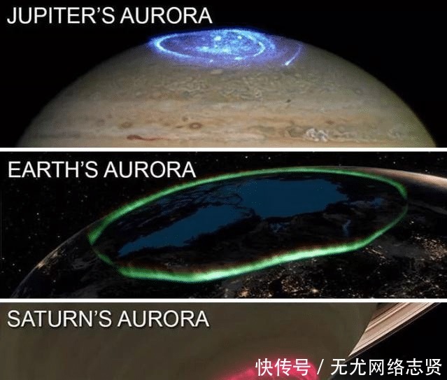 令人 22张“活久见”的照片,令人大开眼界!