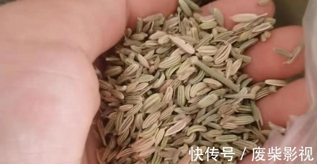 丁香|教你制作2款广谱性好、又简单的钓鱼药酒