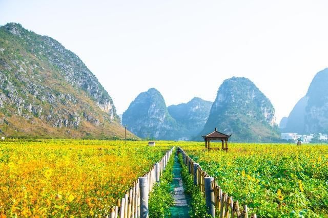 广西此古镇文化底蕴超浓厚，古代的绣球都在此生产，风景美游客少