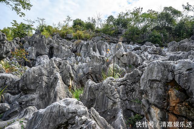 “华东第一石林”千岛湖石林，江南罕见的地质奇观，壮观且秀丽