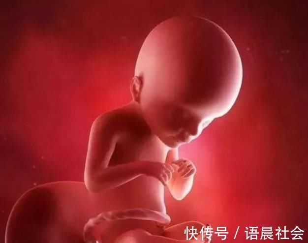 画面|孕妈睡觉时,胎儿在干嘛?看到这个画面,小家伙真的太可爱了