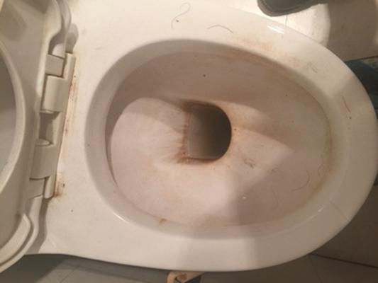 马桶“发臭发黄”,撒一把不值钱的“它”进去,洗完和新的一样!