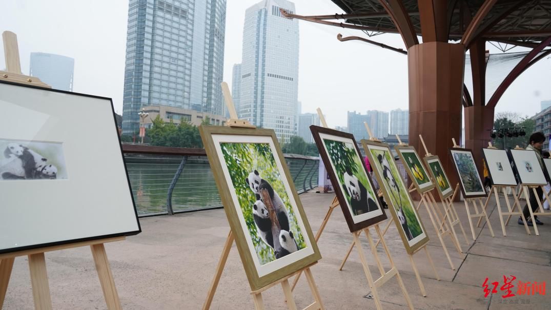 笨笨鼠#天府文化体验活动呈现 武侯区望江路街道老马路社区反响热烈