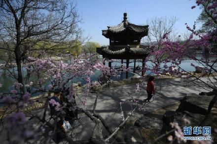 春花烂漫避暑山庄