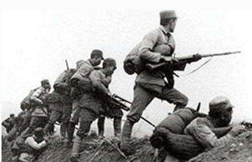 部队|这只鸟有何特别之处?将军看到后,大喊快撤