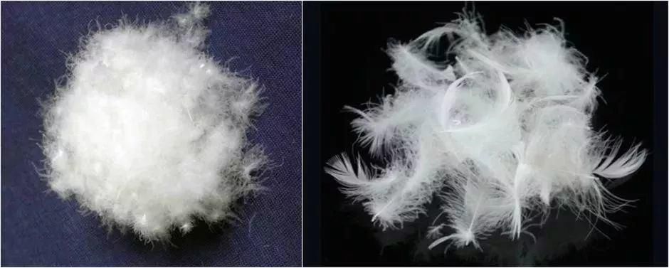  相差|什么是含绒量？什么是充绒量？同是羽绒服，价格相差那么大？