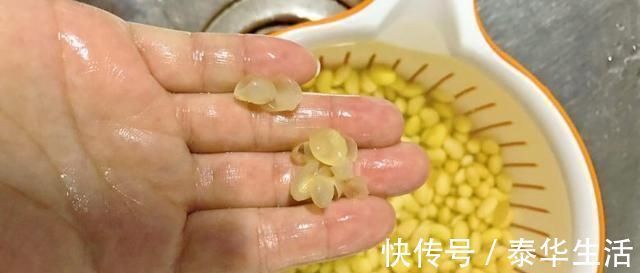 老少皆宜|冬天多给孩子吃这菜,补钙还健脑,1元1斤,孩子常吃个头窜一窜