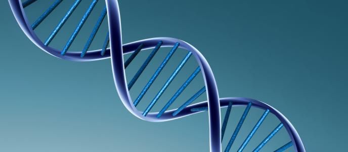 胎丸|转胎丸：生育史上的最大骗局