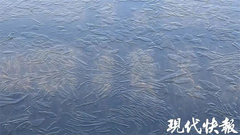 浮雕|玄武湖冰花“绽放”，落叶成画