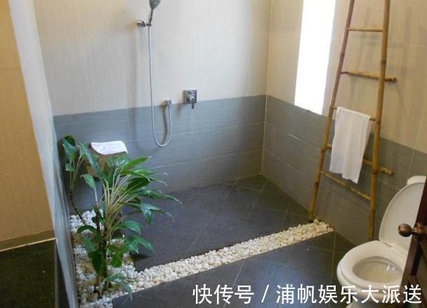 卫生间闻着臭臭的该怎么办盆栽它们,教你告别消毒水、清新剂