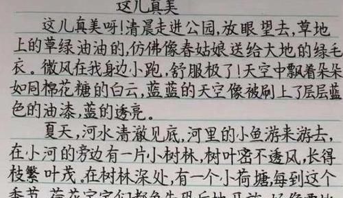 小学生的零分作文火了，改卷老师怒火中烧，网友调侃：灵魂写手