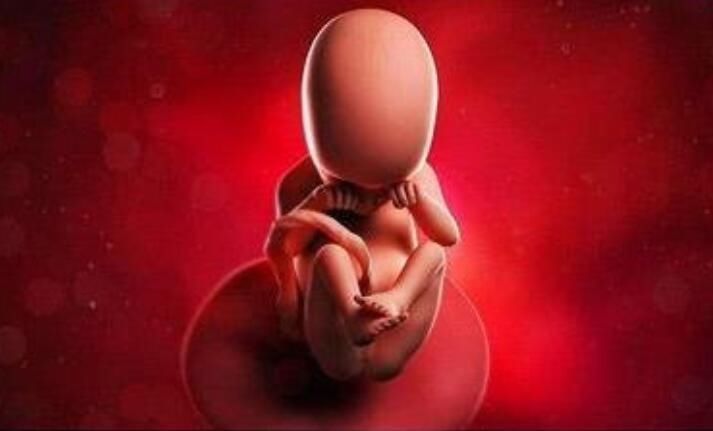 孕妇|孕妇孕期这些表现,是胎儿“高智商”的信号,赢在娘胎没问题