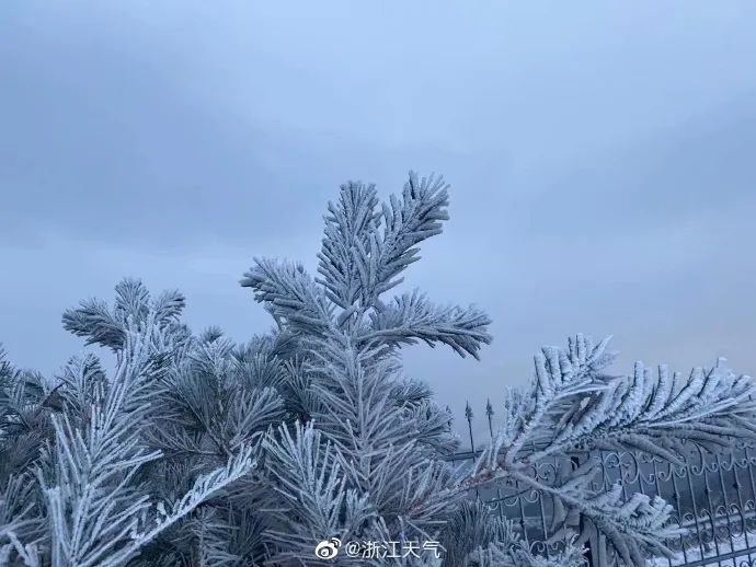 新闻记者|浙江多地下雪！一地积雪厚度达3公分……