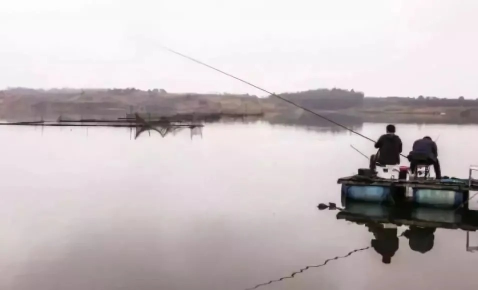 子线用法有“秘诀”,3分钟学会后,上鱼率至少提高1倍!