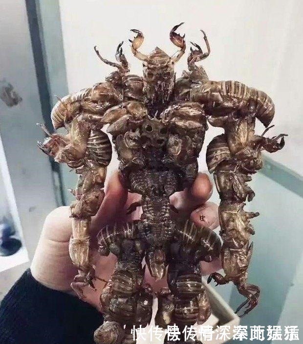 大神|大神将垃圾制成精美手办，“变废为宝”的手法太神奇，我看懵了！