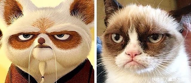 穿靴子的猫|爆笑动漫二次元vs现实,狮子王真人版成精了,最后一个你退群吧