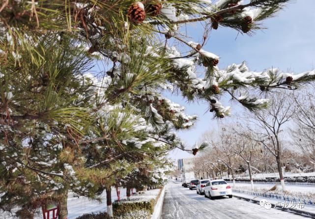 圆明园|雪后美景！