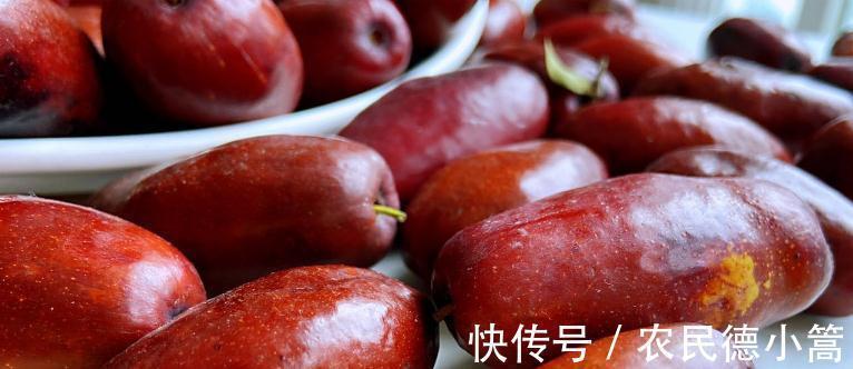 胶原蛋白|天凉了,女人多吃“营养全能冠军”,补充胶原蛋白,皮肤紧致细腻