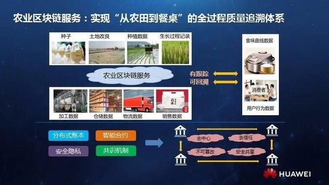 消费主张|价值互联网时代，区块链如何“脱虚向实”？