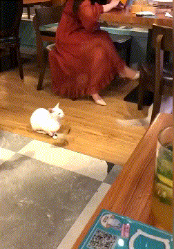 |搞笑GIF:三个可爱姑娘,这烟吹的好给满分!