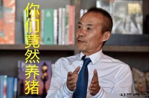 房价|1000多家房企相继跨界养猪，只因房价下降猪价上涨？别太天真了
