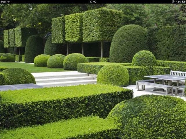 植物“整形”，花样百出