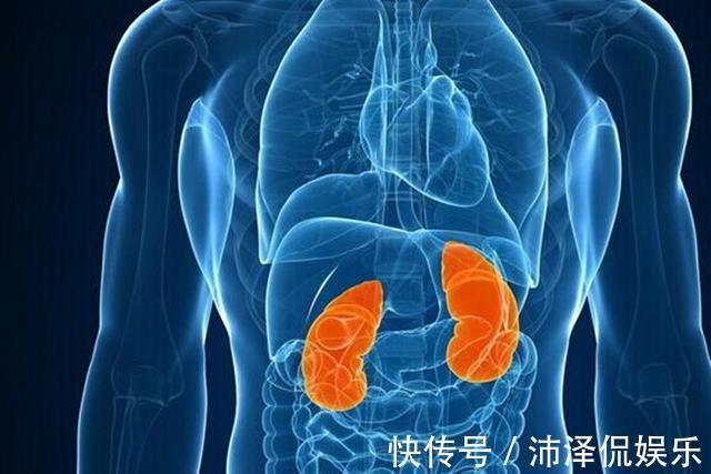 捛人参|男人“老太快”,2种食物当“零食”,60岁后,还能行夫妻之道