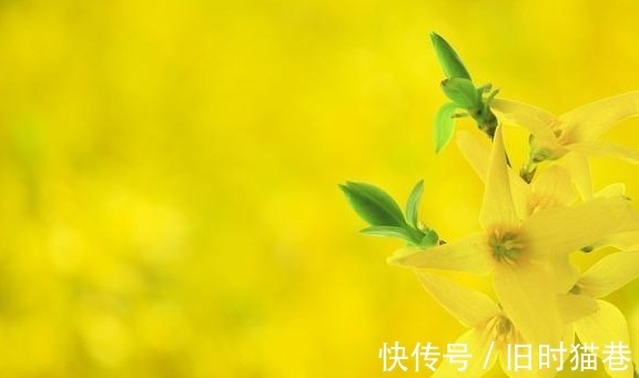 |幽默笑话:如果我说了实话,都不知道自己会有多惨