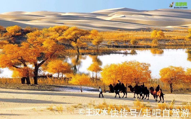 塔克拉玛干沙漠|一眼万元！国内最贵景区，一张门票3500元，外国人30万，它凭啥？