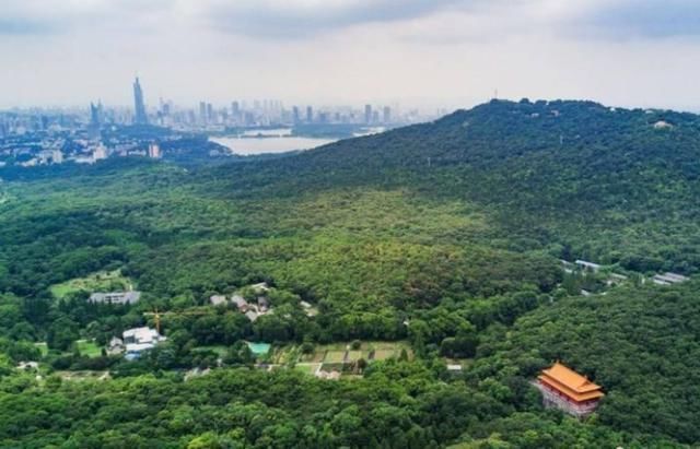 被盗掘&朱元璋沉睡孝陵600余年,为何无人能盗墓成功?专家:有两个原因