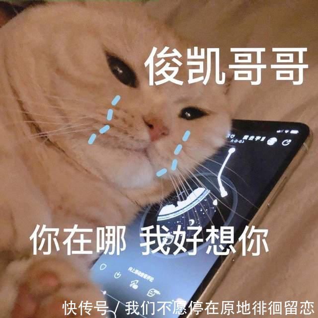 749|闭关的王俊凯,绝对不知道,他不营业时粉丝的状态是怎样的吧