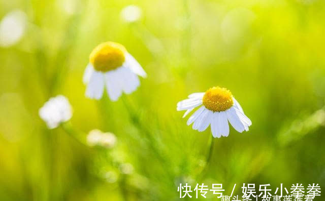 旧爱|9月末，爱情转身，前任回头，忠诚相伴，再不放手，此生不分离