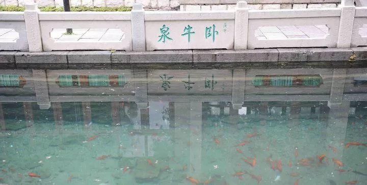 中国唯一一座泡在泉水里的城市，在这座城市里接的是水，享的是福