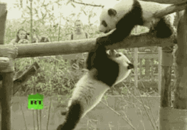 |搞笑段子：有哪些段子，能让人笑到肾抽筋？第99辑