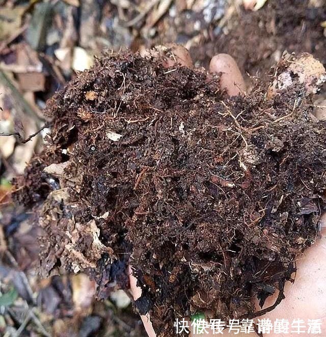 草炭土|养花就要配土，小花匠教你两种配土方法，养花特别棒，保准不烂根！